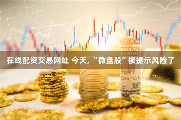 在线配资交易网址 今天, “微盘股”被提示风险了