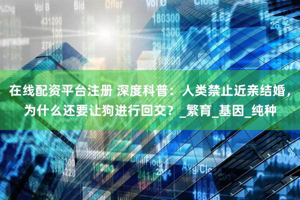 在线配资平台注册 深度科普：人类禁止近亲结婚，为什么还要让狗进行回交？_繁育_基因_纯种