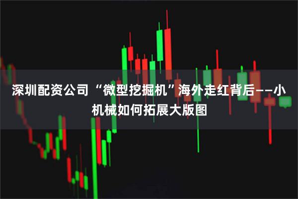深圳配资公司 “微型挖掘机”海外走红背后——小机械如何拓展大版图